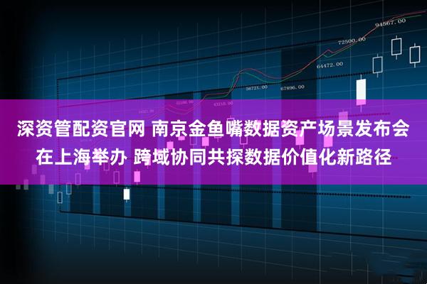 深资管配资官网 南京金鱼嘴数据资产场景发布会在上海举办 跨域协同共探数据价值化新路径