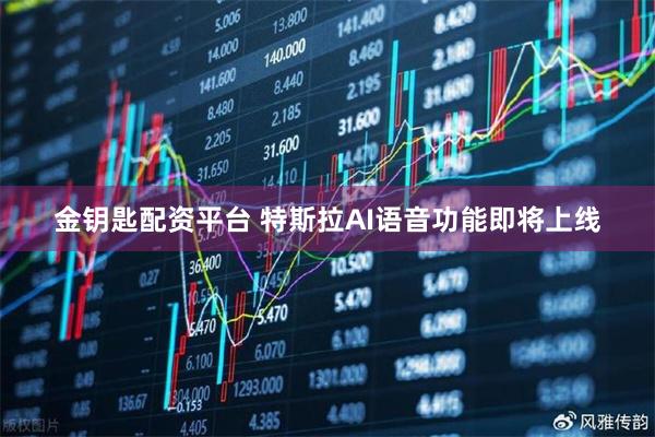 金钥匙配资平台 特斯拉AI语音功能即将上线